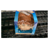 Craft doll head