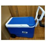 Igloo Cooler