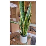 30' Artificial Sansevieria Plant