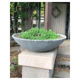 Extra-Large Half Moon Concrete Planter #1
