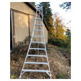 Stokes 12-Foot Orchard TriPod Ladder – Aluminum Frame