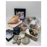 Conch Shell, Minerals and More Seashore Finds