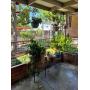 Calling all Garden enthusiasts! Love Love this place!