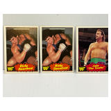 RICKY STEAMBOAT- JAKE THE SNAKE