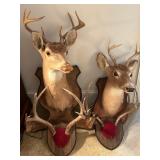 Multiple Wall Mounts 