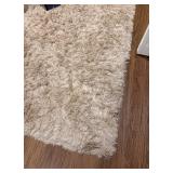 Area Rug