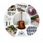 The Father's Day Collection: Sports, Sportsman, Auto, Musical, & Memorabilia - Arlington 98223