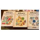 Disney series books