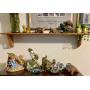 Turtlely Awesome Sale in gretna
