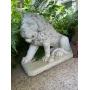 Higher Ground - Lake Highlands Collection