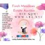 Fresh Meadows Time Capsule Online Auction-Lucky Rabbit Estate Sales