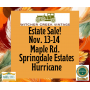 Come Shop With Us In Springdale Estates For A Pre-Thanksgiving Sale!