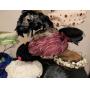 A potpourri of gifts, decor, and school uniforms