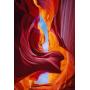 #1 MON PETER LIK FINE ART PHOTOGRAPHS / EASTON PRESS COINS+