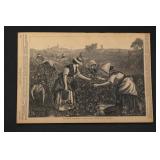 Lady's Journal, 1876 Print