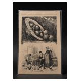 Harper's Bazar, 1875
