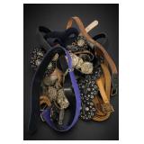Lot of Assorted Belts and Decorative Waist Straps