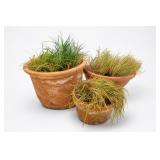 Lot of Terracotta Planters
