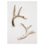 Pair of Natural Deer Antlers