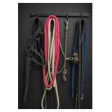 Lot of Assorted Horse Tack