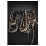 Lot of Equestrian Bridles