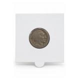 1916 Buffalo Nickel