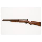Benjamin .22-Caliber Pneumatic Air Rifle