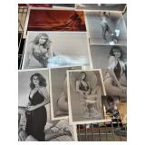 Lot of Vintage Photographs