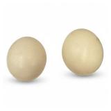 Ostrich Eggs, Pair