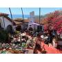 Laguna Beach Treasures By Treasure Hunt 