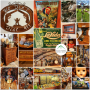 SAGE PATINA Hosts Primitives, Vintage Galore, Antiques & More Azle Estate Sale! 