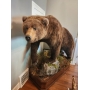 ADVENTURES OF A BIG GAME HUNTER MENS' DREAM ESTATE SALE BY ALAMO AZTEK ESTATE SALES DFW
