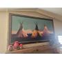 COWBOYS LIKE US WESTERN NATIVE AMERICAN MODERN FURNITURE ESTATE SALE BY ALAMO AZTEK ESTATE SALES DFW