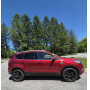 May 2026 Penfield Online Auction by Caring Transitions - Ends 6/1!