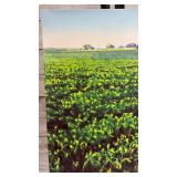 Joseph Sim Signed Lithograph Print "Last Year For Beans" (Green Variation)