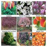4/12/26 - Plants, Flowers & Trees Auction