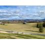 The View Alone is Worth Coming to this Stunning Elizabethton home!