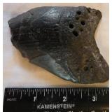 EAT351 - Fossilized Shark