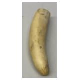 EHE311 - Vintage Hand Carved Boar Tooth Pendant