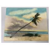 EHE342 - Very RARE Ray Jerome Baker Hand Colored Photograph 1 of 3 Beach Scene w/Leaning Palm
