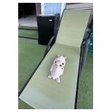 KVS063 - Outdoor Miscellaneous Set of Furniture 