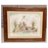 MHH089 Framed Original Watercolor Painting Of Tillandsia Air Plants On A Piece of Driftwood 
