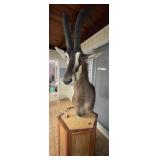 ETS020 - African Sable Antelope With Custom Pedestal Mount
