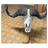 ETS022 - African Cape Water Buffalo European Mount