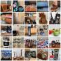 MILILANI MEMORIES SALE CTBids Online Auction Bidding Ends 05/28/26 Pickup 05/30/26