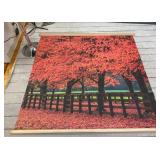 VBB183 Red Maple 68" x 72" Studio Photography Backdrop