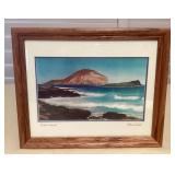 MCJ110 Framed Rabbit Island Picture By Patrick Doell
