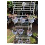 MCJ153 Nine Hanging Baskets Of Tillandsia Air Plants