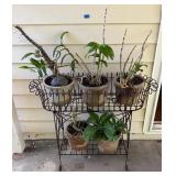 FHM012 - Pretty Potted Plant Set
