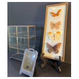 FHM198 - Framed Butterflies, Detailed Frame from W Germany, And Small Glass Display Cabinet / Case